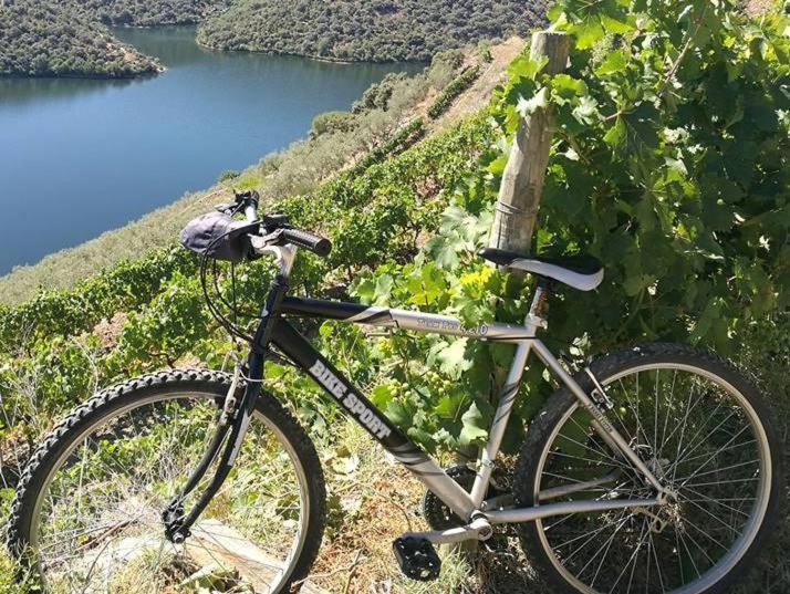 Villa Moradias Do Douro Internacional Freixo de Espada à Cinta Exterior foto